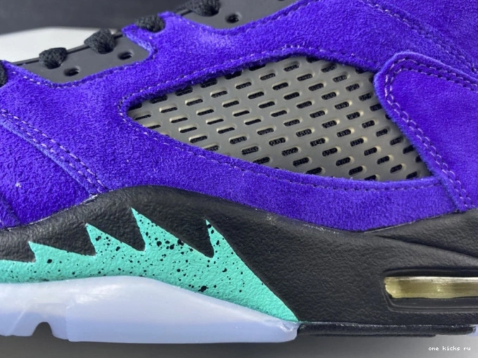 Chep Onekick Retro Air Alternate Grape 136027-500 Jordan 5 0719